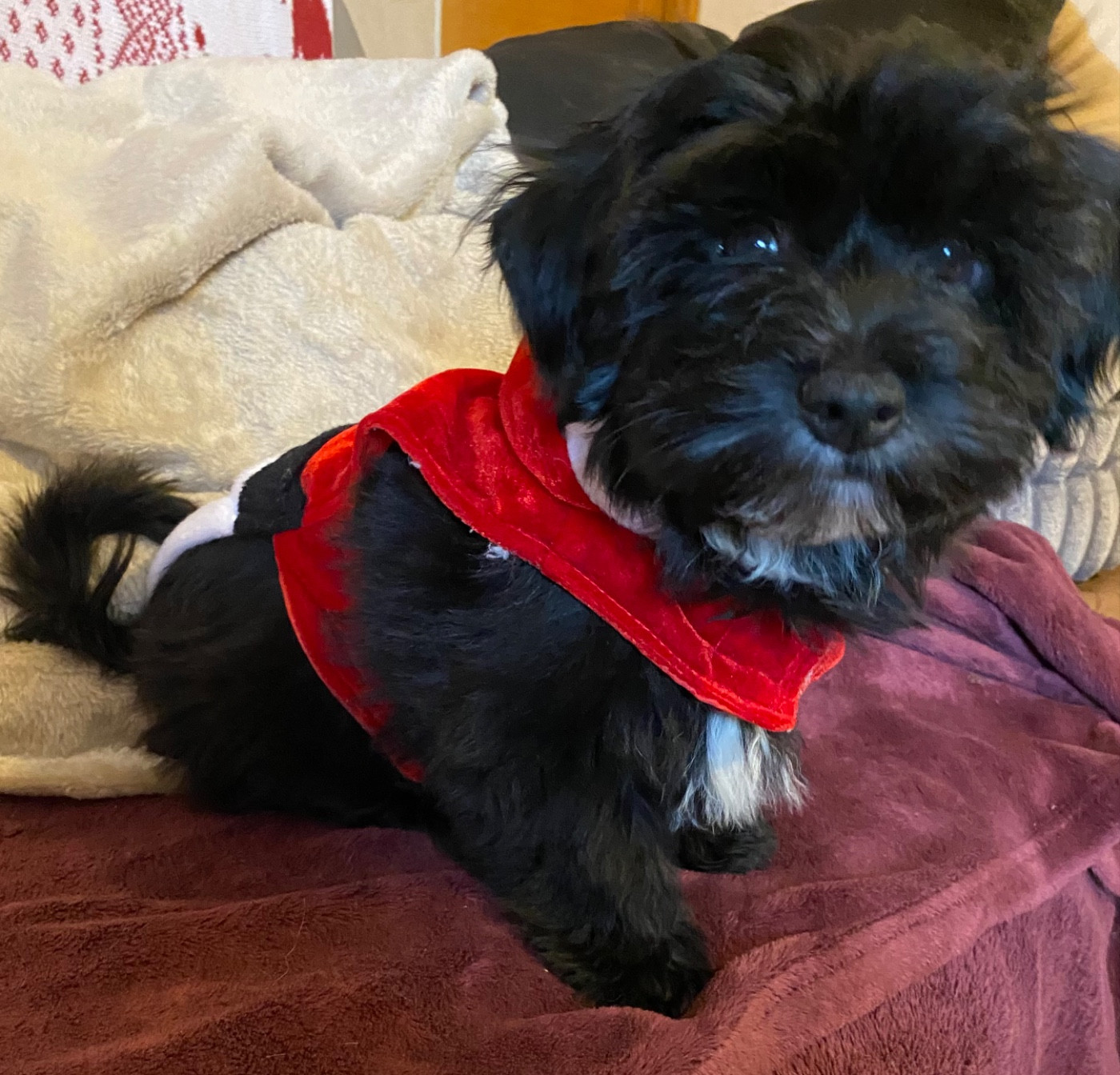 Agathe  de la Tour de Senlis